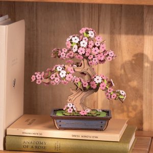 Kits Bonsai ZenBloom Puzzle en Bois